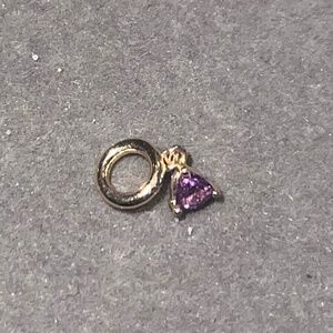 Audrey Rose Amethyst (February) birthstone charm for necklace! NEW